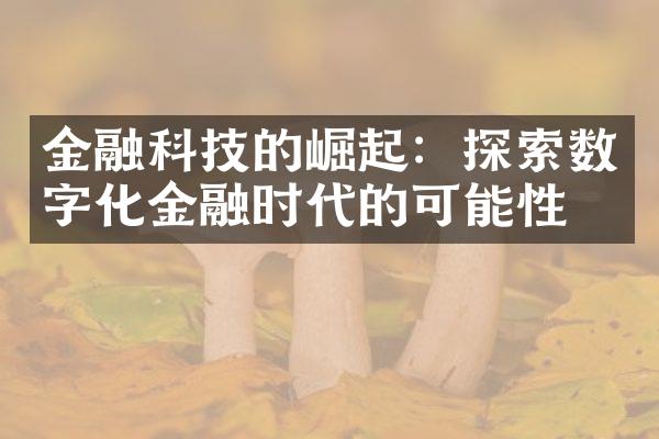 金融科技的崛起：探索数字化金融时代的可能性