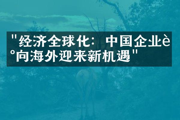 "经济全球化：中国企业走向海外迎来新机遇"