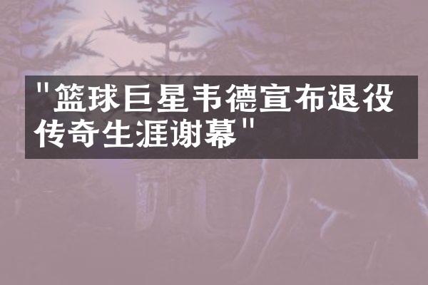 "篮球巨星韦德宣布退役，传奇生涯谢幕"