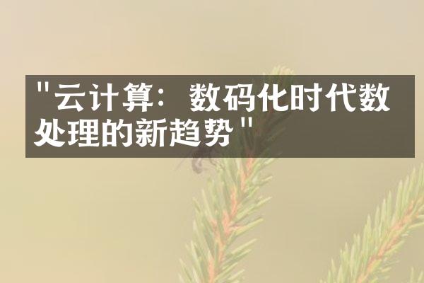 "云计算：数码化时代数据处理的新趋势"