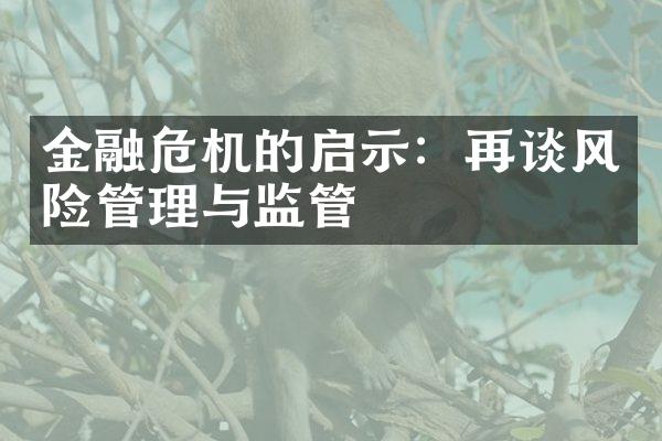 金融危机的启示：再谈风险管理与监管