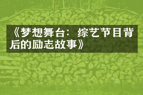 《梦想舞台：综艺节目背后的励志故事》