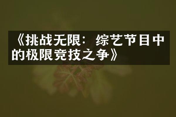 《挑战无限：综艺节目中的极限竞技之争》