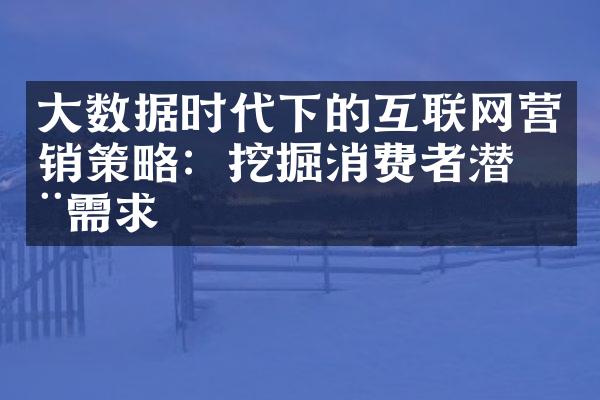 大数据时代下的互联网营销策略：挖掘消费者潜在需求