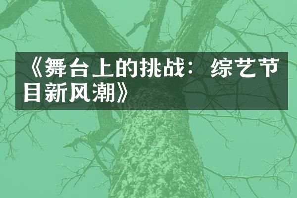 《舞台上的挑战：综艺节目新风潮》