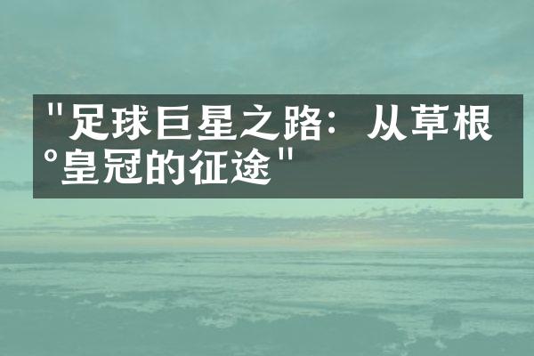 "足球巨星之路：从草根到皇冠的征途"