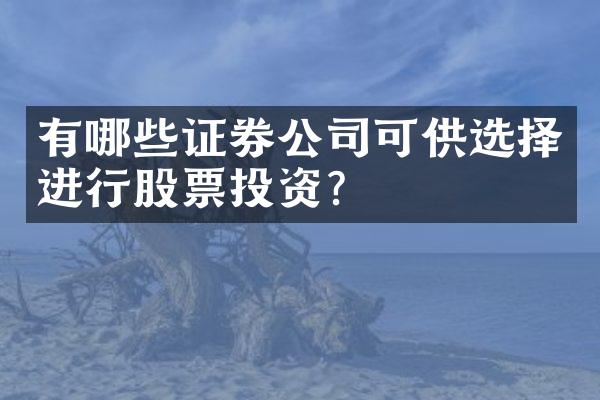 有哪些证券公司可供选择进行股票投资？