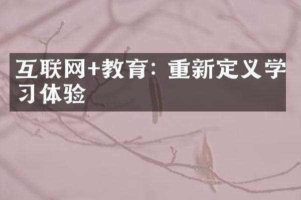 互联网+教育: 重新定义学习体验