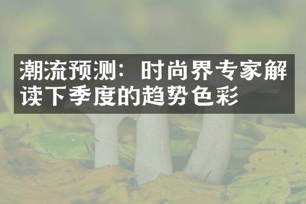 潮流预测：时尚界专家解读下季度的趋势色彩