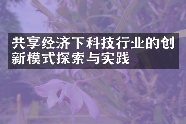 共享经济下科技行业的创新模式探索与实践