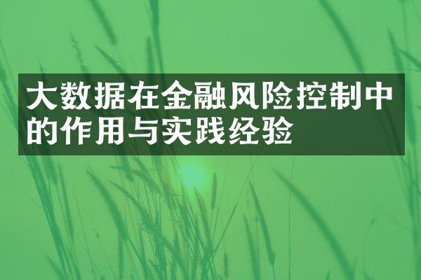 大数据在金融风险控制中的作用与实践经验