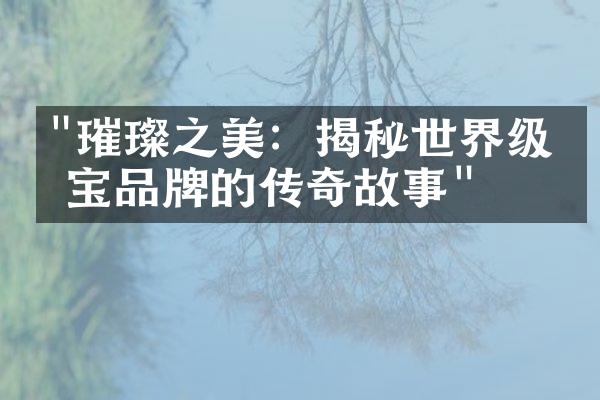 "璀璨之美：揭秘世界级珠宝品牌的传奇故事"