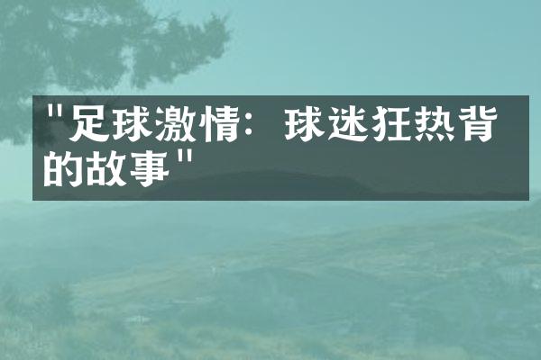 "足球激情：球迷狂热背后的故事"