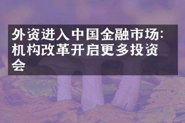 外资进入中国金融市场：机构改革开启更多投资机会