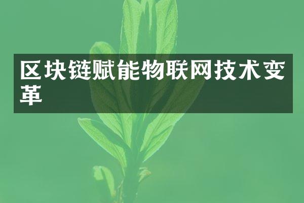 区块链赋能物联网技术变革