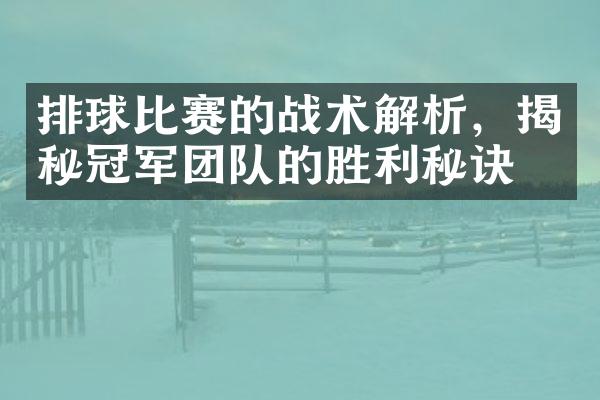 排球比赛的战术解析，揭秘冠军团队的胜利秘诀！