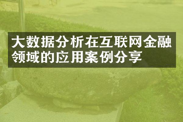 大数据分析在互联网金融领域的应用案例分享