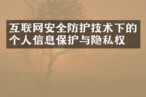 互联网安全防护技术下的个人信息保护与隐私权利