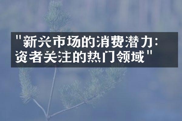 "新兴市场的消费潜力：投资者关注的热门领域"