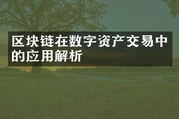 区块链在数字资产交易中的应用解析