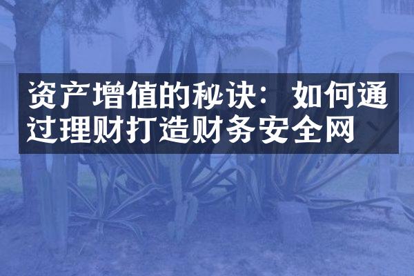 资产增值的秘诀：如何通过理财打造财务安全网