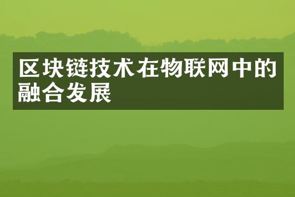 区块链技术在物联网中的融合发展