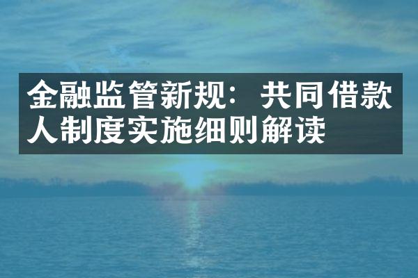 金融监管新规：共同借款人制度实施细则解读