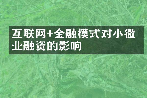 互联网+金融模式对小微企业融资的影响