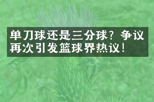 单刀球还是三分球？争议再次引发篮球界热议！