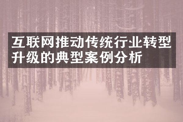 互联网推动传统行业转型升级的典型案例分析