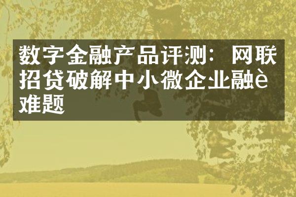 数字金融产品评测：网联招贷破解中小微企业融资难题