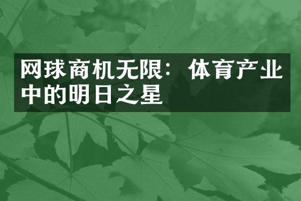 网球商机无限：体育产业中的明日之星