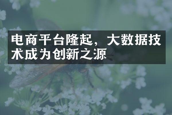 电商平台隆起，大数据技术成为创新之源