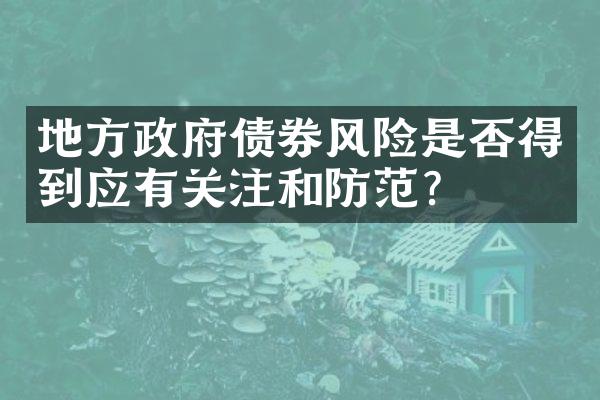 地方政府债券风险是否得到应有关注和防范？