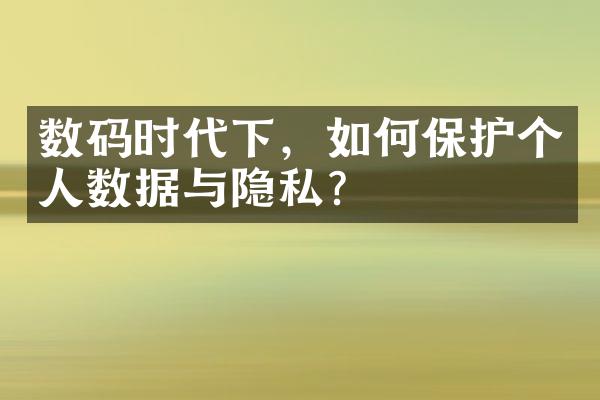 数码时代下，如何保护个人数据与隐私？