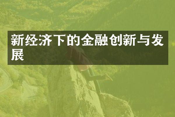 新经济下的金融创新与发展