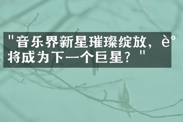 "音乐界新星璀璨绽放，谁将成为下一个巨星？"