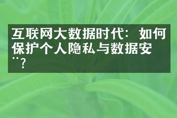 互联网大数据时代：如何保护个人隐私与数据安全？