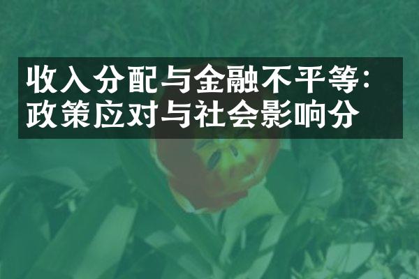 收入分配与金融不平等：政策应对与社会影响分析