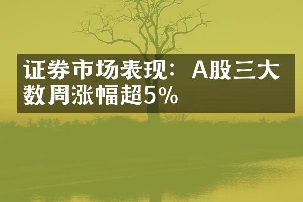 证券市场表现：A股三大指数周涨幅超5%