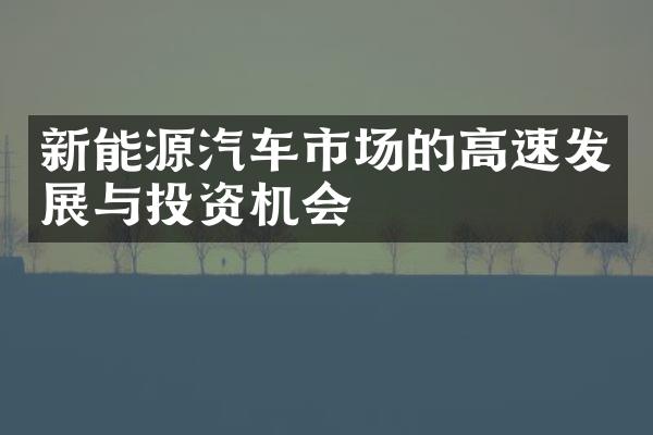 新能源汽车市场的高速发展与投资机会