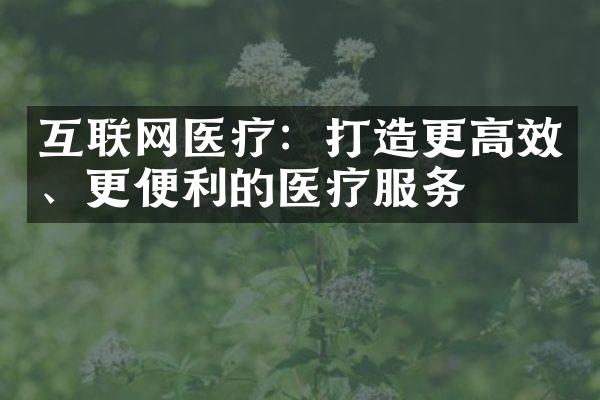 互联网医疗：打造更高效、更便利的医疗服务