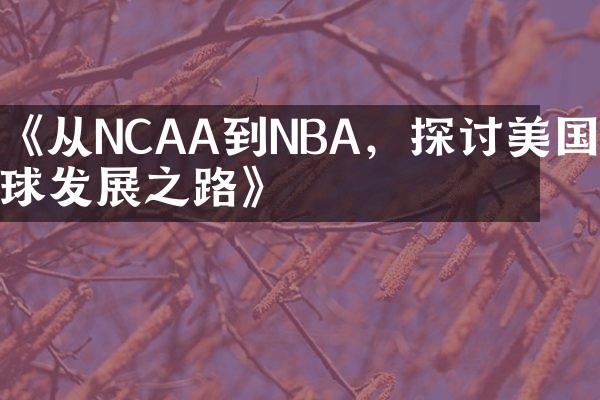 《从NCAA到NBA，探讨美国篮球发展之路》