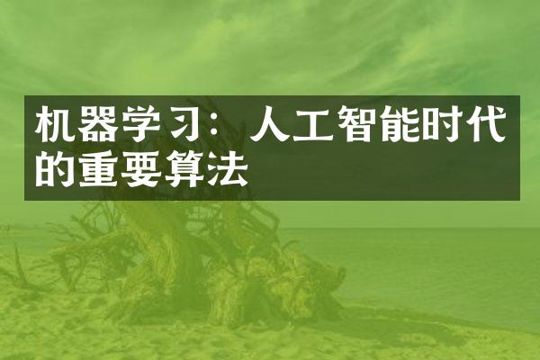 机器学习：人工智能时代的重要算法