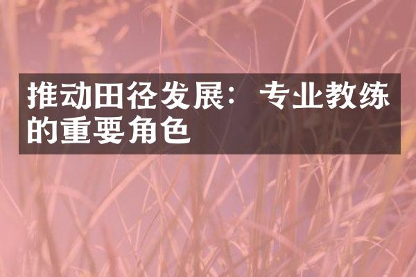 推动田径发展：专业教练的重要角色