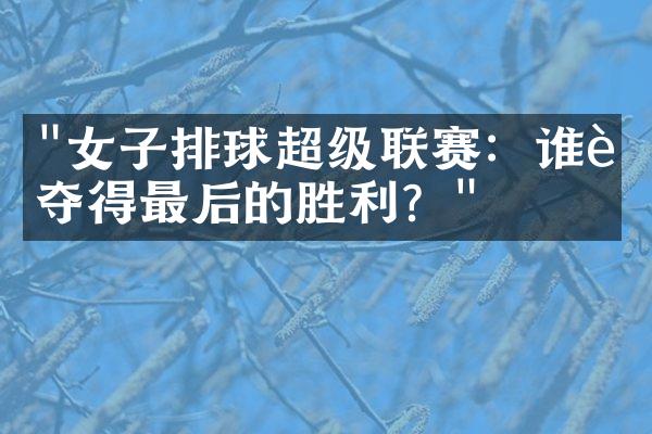 "女子排球超级联赛：谁能夺得最后的胜利？"