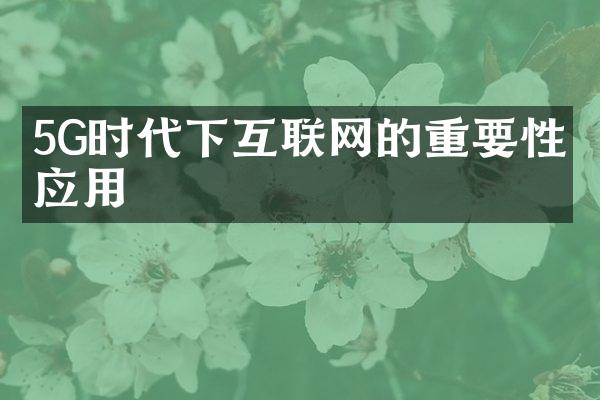 5G时代下互联网的重要性与应用