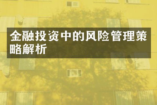 金融投资中的风险管理策略解析