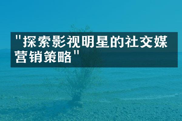 "探索影视明星的社交媒体营销策略"