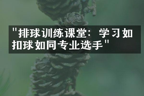 "排球训练课堂：学习如何扣球如同专业选手"